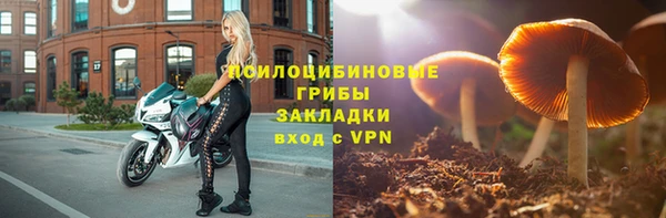 ПСИЛОЦИБИНОВЫЕ ГРИБЫ Абаза