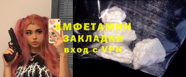 ПСИЛОЦИБИНОВЫЕ ГРИБЫ Абаза