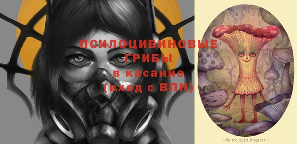 ПСИЛОЦИБИНОВЫЕ ГРИБЫ Абаза