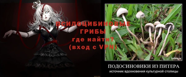 амф Протвино